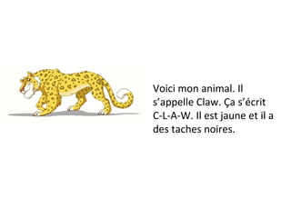 Voici mon animal. Il s’appelle Claw. Ça s’écrit C-L-A-W. Il est jaune et il a des taches noires. 