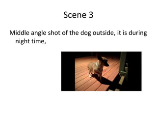 Scene 3Middle angle shot of the dog outside, it is during night time,