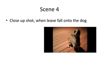 Scene 4Close up shot, when leave fall onto the dog
