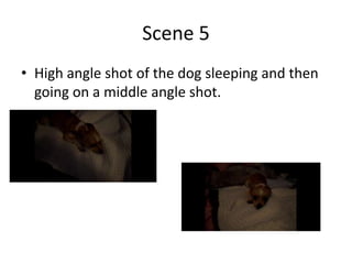 Scene 5High angle shot of the dog sleeping and then going on a middle angle shot.