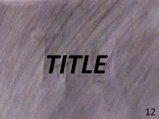 TITLE
12

 