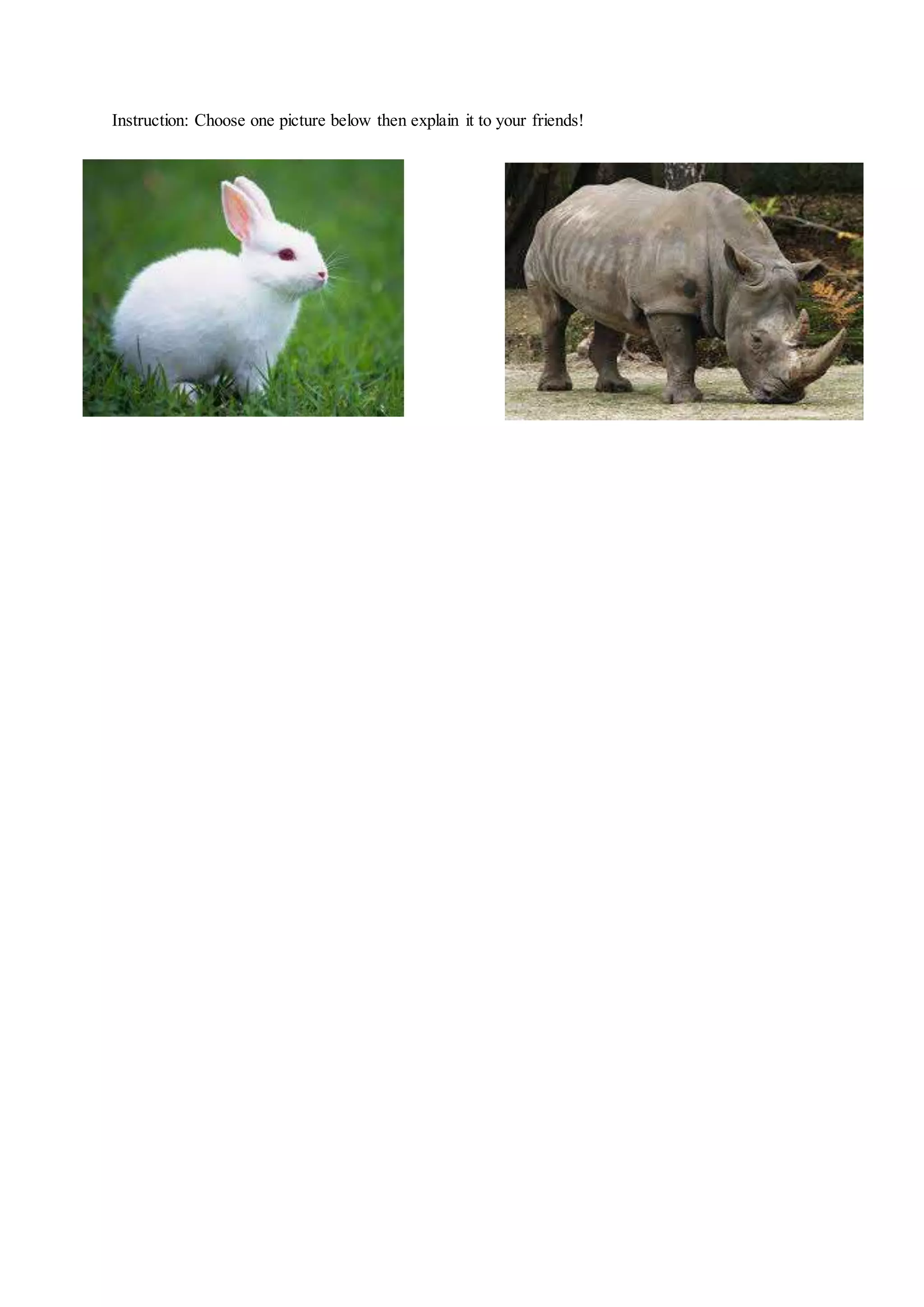 Instruction: Choose one picture below then explain it to your friends!