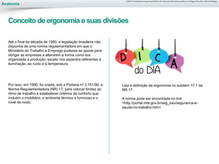 Anatomia
Aula 01- Introdução à Ergonomia/Noções de Anatomia Musculoesquelética, Fisiologia Muscular e Ritmo Biológico
Até o final da década de 1980, a legislação brasileira não
dispunha de uma norma regulamentadora em que o
Ministério do Trabalho e Emprego pudesse se apoiar para
obrigar as empresas a alterarem a forma como era
organizada a produção, exceto nos aspectos referentes à
iluminação, ao ruído e à temperatura.
Por isso, em 1990, foi criada, sob a Portaria no 3.751/90, a
Norma Regulamentadora (NR) 17, para colocar limites ao
ritmo de trabalho e estabelecer critérios de conforto que
incluem o mobiliário, o ambiente térmico e luminoso e o
nível de ruído.
Conceito de ergonomia e suas divisões
Leia a definição de ergonomia no subitem 17.1 da
NR 17.
A norma pode ser encontrada no link:
<http://portal.mte.gov.br/seg_sau/seguranca-e-
saude-no-trabalho.htm>.
 