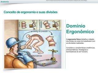 Anatomia
Conceito de ergonomia e suas divisões
Domínio
Ergonômico
A ergonomia física trabalha a relação
dos limites do corpo do trabalhador com
as atividades realizadas.
Considera s características anatômicas,
antropométricas, fisiológicas e
biomecânicas do ser humano.
Aula 01- Introdução à Ergonomia/Noções de Anatomia Musculoesquelética, Fisiologia Muscular e Ritmo Biológico
 