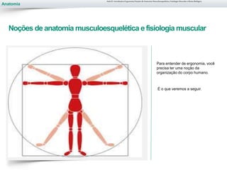 Anatomia
Noções de anatomia musculoesquelética efisiologia muscular
Para entender de ergonomia, você
precisa ter uma noção da
organização do corpo humano.
É o que veremos a seguir.
Aula 01- Introdução à Ergonomia/Noções de Anatomia Musculoesquelética, Fisiologia Muscular e Ritmo Biológico
 