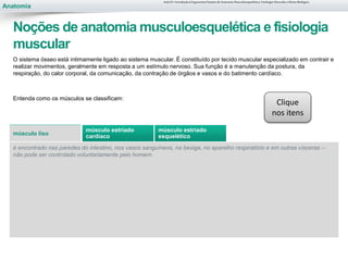 Anatomia
O sistema ósseo está intimamente ligado ao sistema muscular. É constituído por tecido muscular especializado em contrair e
realizar movimentos, geralmente em resposta a um estímulo nervoso. Sua função é a manutenção da postura, da
respiração, do calor corporal, da comunicação, da contração de órgãos e vasos e do batimento cardíaco.
Entenda como os músculos se classificam:
é encontrado nas paredes do intestino, nos vasos sanguíneos, na bexiga, no aparelho respiratório e em outras vísceras –
não pode ser controlado voluntariamente pelo homem.
músculo liso
músculo estriado
cardíaco
músculo estriado
esquelético
Aula 01- Introdução à Ergonomia/Noções de Anatomia Musculoesquelética, Fisiologia Muscular e Ritmo Biológico
Noções de anatomia musculoesquelética e fisiologia
muscular
Clique
nos itens
 