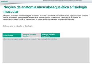 Anatomia
O sistema ósseo está intimamente ligado ao sistema muscular. É constituído por tecido muscular especializado em contrair e
realizar movimentos, geralmente em resposta a um estímulo nervoso. Sua função é a manutenção da postura, da
respiração, do calor corporal, da comunicação, da contração de órgãos e vasos e do batimento cardíaco.
Entenda como os músculos se classificam:
Como o nome sugere, está presente no coração – sua contração é involuntária
músculo estriado
cardiac
músculo estriado
esquelético
Aula 01- Introdução à Ergonomia/Noções de Anatomia Musculoesquelética, Fisiologia Muscular e Ritmo Biológico
Noções de anatomia musculoesquelética e fisiologia
muscular
músculo liso
 