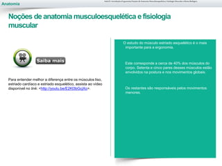 Anatomia
Noções de anatomia musculoesquelética efisiologia
muscular
Aula 01- Introdução à Ergonomia/Noções de Anatomia Musculoesquelética, Fisiologia Muscular e Ritmo Biológico
O estudo do músculo estriado esquelético é o mais
importante para a ergonomia.
Este corresponde a cerca de 40% dos músculos do
corpo. Setenta e cinco pares desses músculos estão
envolvidos na postura e nos movimentos globais.
Os restantes são responsáveis pelos movimentos
menores.
Para entender melhor a diferença entre os músculos liso,
estriado cardíaco e estriado esquelético, assista ao vídeo
disponível no link: <http://youtu.be/E2Kl3bGcjXo>.
 