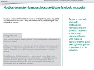 Anatomia
Chegou a hora de conhecermos um pouco da fisiologia muscular, ou seja, como
são compostos os músculos e de que maneira todas as partes interagem para
cumprir suas funções.
Pode parecer complexo, mas na verdade é um sistema perfeito, que trabalha de
modo sincronizado.
A fibra muscular apresenta uma membrana denominada sarcolema, e no interior
dessa fibra há o sarcoplasma (líquido intracelular). Inseridas no sacorplasma,
estão as miofibrilas; e, no interior destas, os filamentos proteicos de actina e
miosina.
Esses filamentos deslizam uns sobre os outros, dando origem à contração
muscular. O músculo funciona apenas quando existe energia disponível para
realizar a contração. Essa energia advém de nutrientes como hidratos de
carbono, proteínas e lipídeos, que, após passarem pelo metabolismo, se
transformam em ATP (adenosina trifosfato).
Fisiologia Muscular
Aula 01- Introdução à Ergonomia/Noções de Anatomia Musculoesquelética, Fisiologia Muscular e Ritmo Biológico
Noções de anatomia musculoesquelética efisiologia muscular
Perceba que toda
atividade
profissional
necessita de um
trabalho muscular
– tanto para
manutenção de
uma simples
postura quanto para
execução de gestos
e movimentos de
trabalho.
 