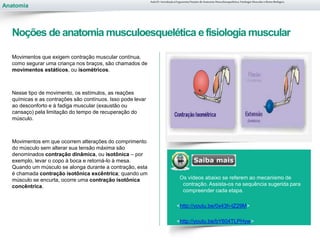 Anatomia
Movimentos que exigem contração muscular contínua,
como segurar uma criança nos braços, são chamados de
movimentos estáticos, ou isométricos.
Nesse tipo de movimento, os estímulos, as reações
químicas e as contrações são contínuos. Isso pode levar
ao desconforto e à fadiga muscular (exaustão ou
cansaço) pela limitação do tempo de recuperação do
músculo.
Movimentos em que ocorrem alterações do comprimento
do músculo sem alterar sua tensão máxima são
denominados contração dinâmica, ou isotônica – por
exemplo, levar o copo à boca e retorná-lo à mesa.
Quando um músculo se alonga durante a contração, esta
é chamada contração isotônica excêntrica; quando um
músculo se encurta, ocorre uma contração isotônica
concêntrica.
Os vídeos abaixo se referem ao mecanismo de
contração. Assista-os na sequência sugerida para
compreender cada etapa.
<http://youtu.be/0x43h-tZ29M>
<http://youtu.be/bY604TLPHyw>
Aula 01- Introdução à Ergonomia/Noções de Anatomia Musculoesquelética, Fisiologia Muscular e Ritmo Biológico
Noções de anatomia musculoesquelética efisiologia muscular
 