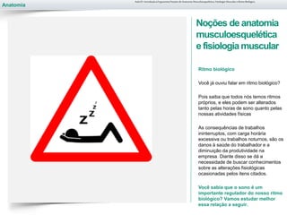Anatomia
Noções de anatomia
musculoesquelética
e fisiologiamuscular
Ritmo biológico
Você já ouviu falar em ritmo biológico?
Pois saiba que todos nós temos ritmos
próprios, e eles podem ser alterados
tanto pelas horas de sono quanto pelas
nossas atividades físicas
As consequências de trabalhos
ininterruptos, com carga horária
excessiva ou trabalhos noturnos, são os
danos à saúde do trabalhador e a
diminuição da produtividade na
empresa. Diante disso se dá a
necessidade de buscar conhecimentos
sobre as alterações fisiológicas
ocasionadas pelos itens citados.
Você sabia que o sono é um
importante regulador do nosso ritmo
biológico? Vamos estudar melhor
essa relação a seguir.
Aula 01- Introdução à Ergonomia/Noções de Anatomia Musculoesquelética, Fisiologia Muscular e Ritmo Biológico
 