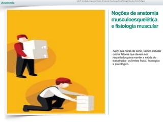 Anatomia
Noções de anatomia
musculoesquelética
e fisiologiamuscular
Além das horas de sono, vamos estudar
outros fatores que devem ser
respeitados para manter a saúde do
trabalhador: os limites físico, fisiológico
e psicológico.
Aula 01- Introdução à Ergonomia/Noções de Anatomia Musculoesquelética, Fisiologia Muscular e Ritmo Biológico
 