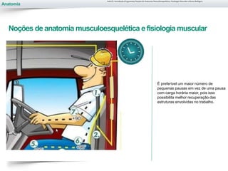 Anatomia
Noções de anatomia musculoesquelética efisiologia muscular
É preferível um maior número de
pequenas pausas em vez de uma pausa
com carga horária maior, pois isso
possibilita melhor recuperação das
estruturas envolvidas no trabalho.
Aula 01- Introdução à Ergonomia/Noções de Anatomia Musculoesquelética, Fisiologia Muscular e Ritmo Biológico
 