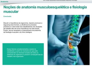 Anatomia
Conclusão
Discutir a importância da ergonomia, visando promover a
segurança dos homens, a eficiência do processo
produtivo e o bem-estar dos trabalhadores nas situações
de trabalho são de suma importância nos dias atuais.
Porém, faz-se necessário o entendimento da anatomia,
da fisiologia muscular e do ritmo biológico.
Noções de anatomia musculoesquelética e fisiologia
muscular
Esses fatores complementarão a saúde do
trabalhador a partir do momento em que este
compreender as diversas funções de todos os
sistemas do organismo e prevenir consequências do
trabalho mal organizado.
Aula 01- Introdução à Ergonomia/Noções de Anatomia Musculoesquelética, Fisiologia Muscular e Ritmo Biológico
 