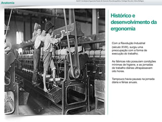 Anatomia
Histórico e
desenvolvimento da
ergonomia
Com a Revolução Industrial
(século XVIII), surgiu uma
preocupação com a forma de
execução do trabalho.
As fábricas não possuíam condições
mínimas de higiene, e as jornadas
de trabalho diárias ultrapassavam
oito horas.
Tampouco havia pausas na jornada
diária e férias anuais.
Aula 01- Introdução à Ergonomia/Noções de Anatomia Musculoesquelética, Fisiologia Muscular e Ritmo Biológico
 