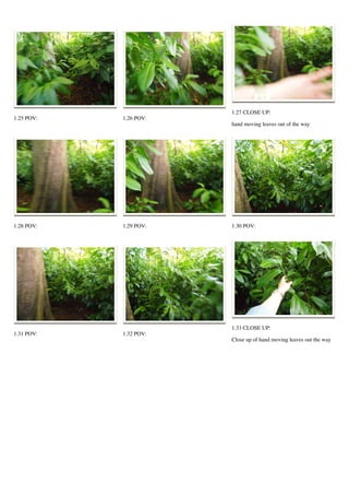 1.25 POV: 1.26 POV:
1.27 CLOSE UP:
hand moving leaves out of the way
1.28 POV: 1.29 POV: 1.30 POV:
1.31 POV: 1.32 POV:
1.33 CLOSE UP:
Close up of hand moving leaves out the way
 