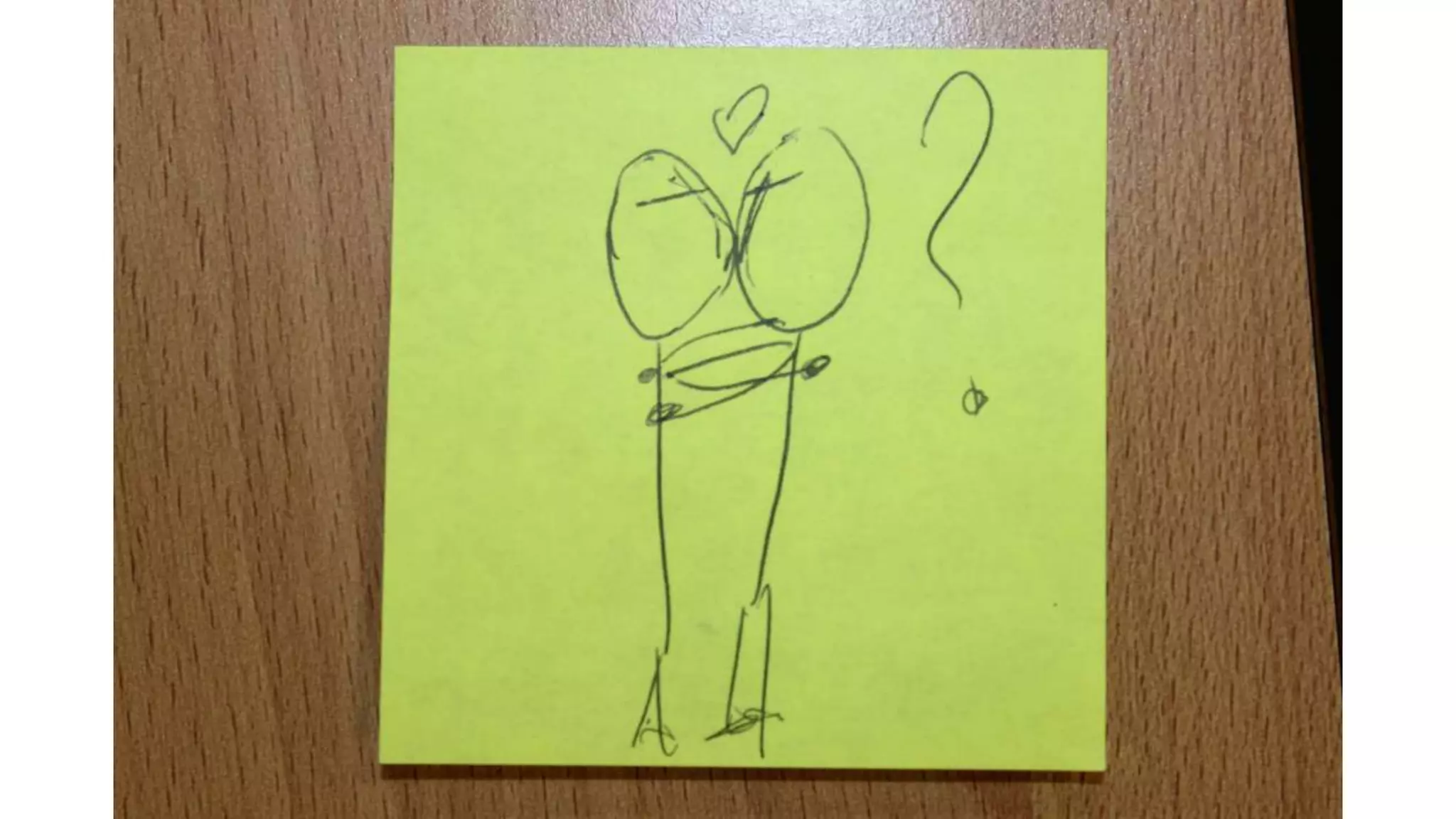 Story board + script