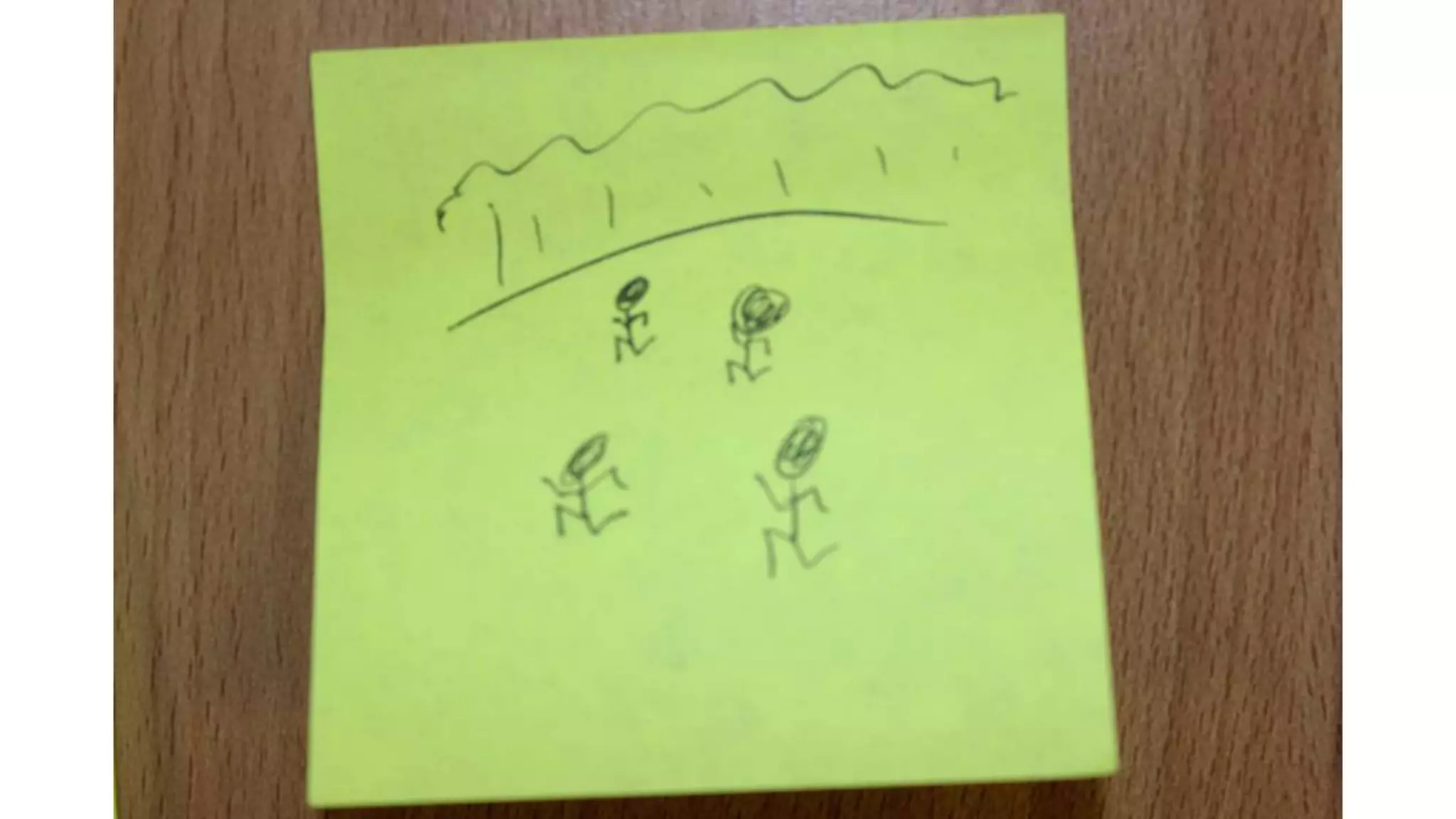 Story board + script