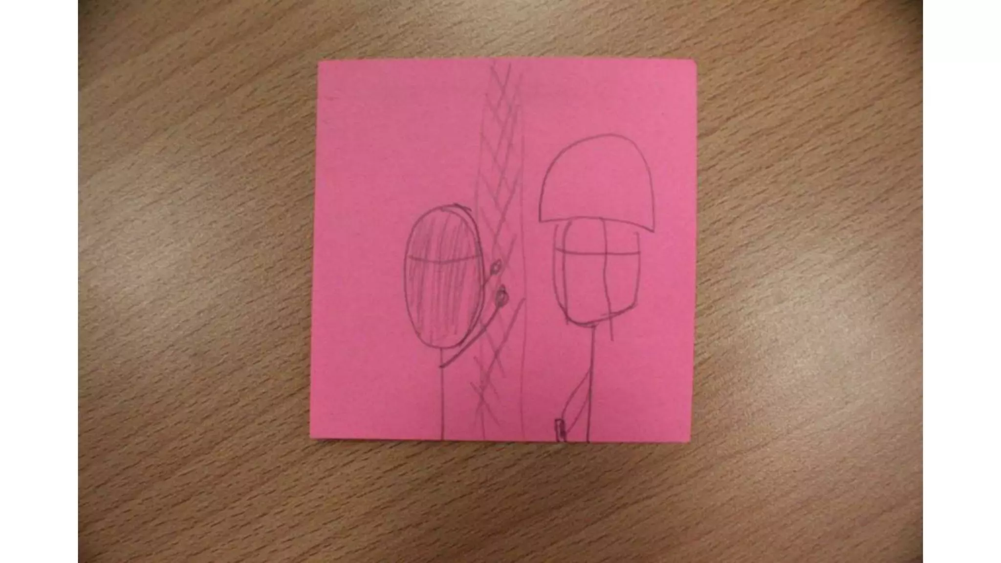 Story board + script