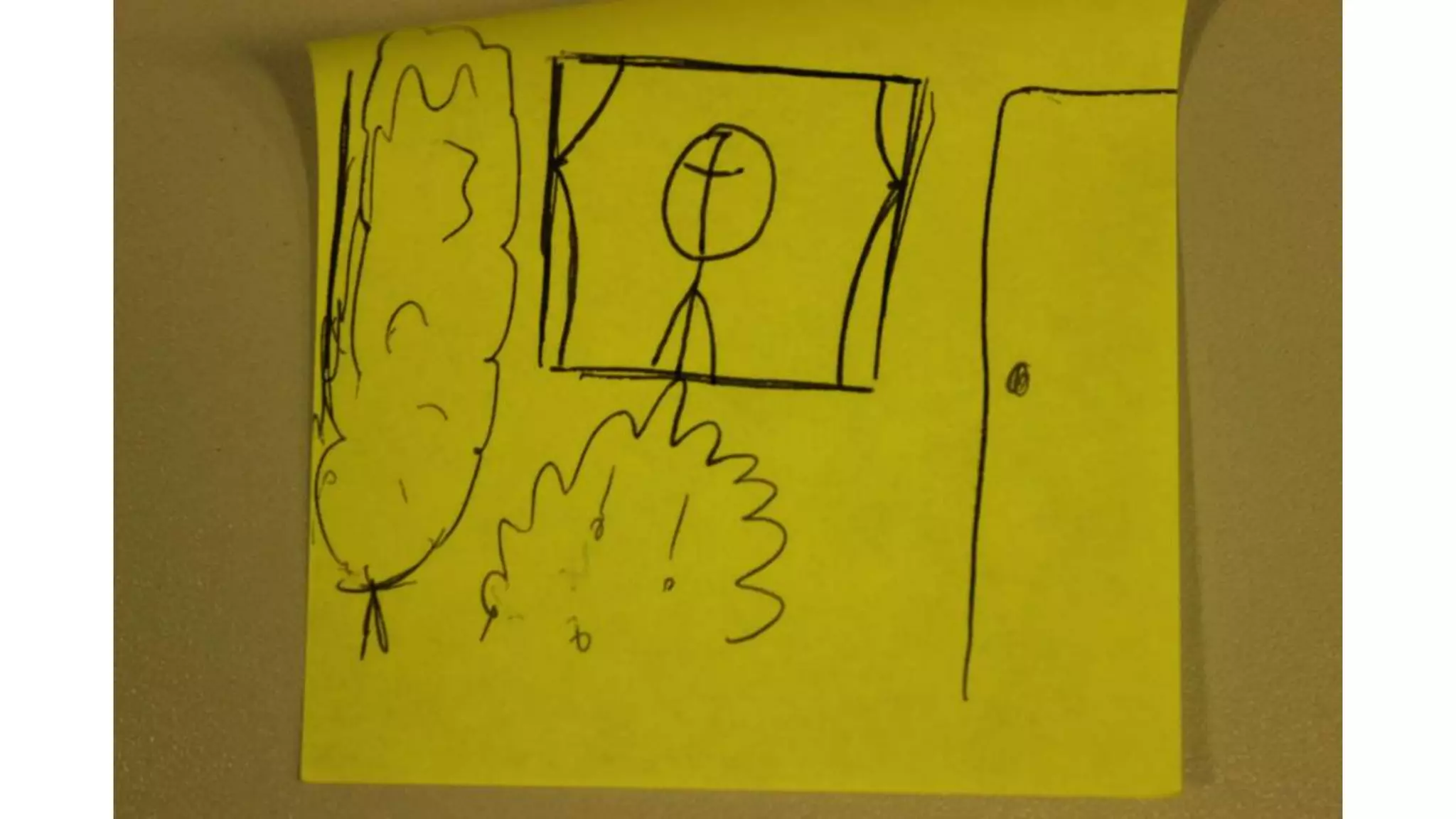 Story board + script