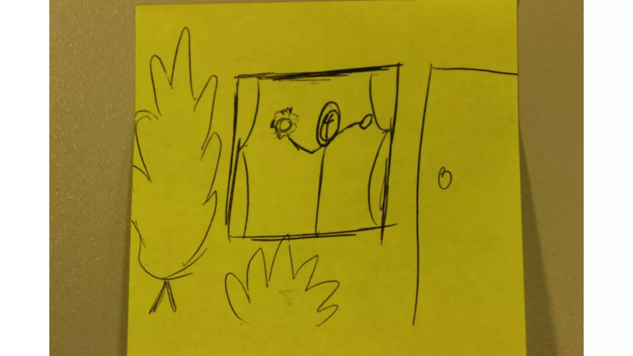 Story board + script