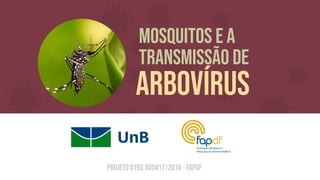 Mosquitos e a
transmissão de
arbovírus
Projeto 0193.000417/2016 - FAPDF
 