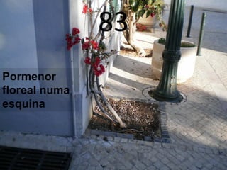 83
Pormenor
floreal numa
esquina
 