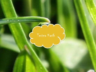 Terima Kasih
 