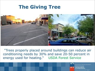 The Giving Tree 
"Trees properly placed around buildings can reduce air conditioning needs by 30% and save 20-50 percent in energy used for heating.“ USDA Forest Service  