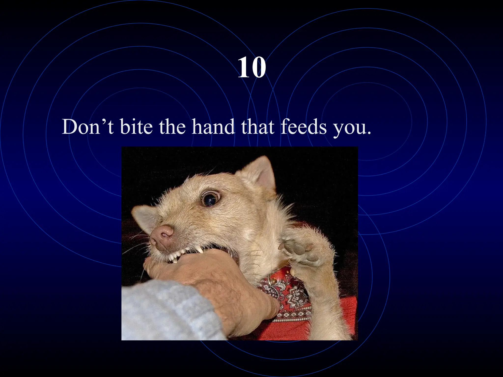 10
Don’t bite the hand that feeds you.
 
