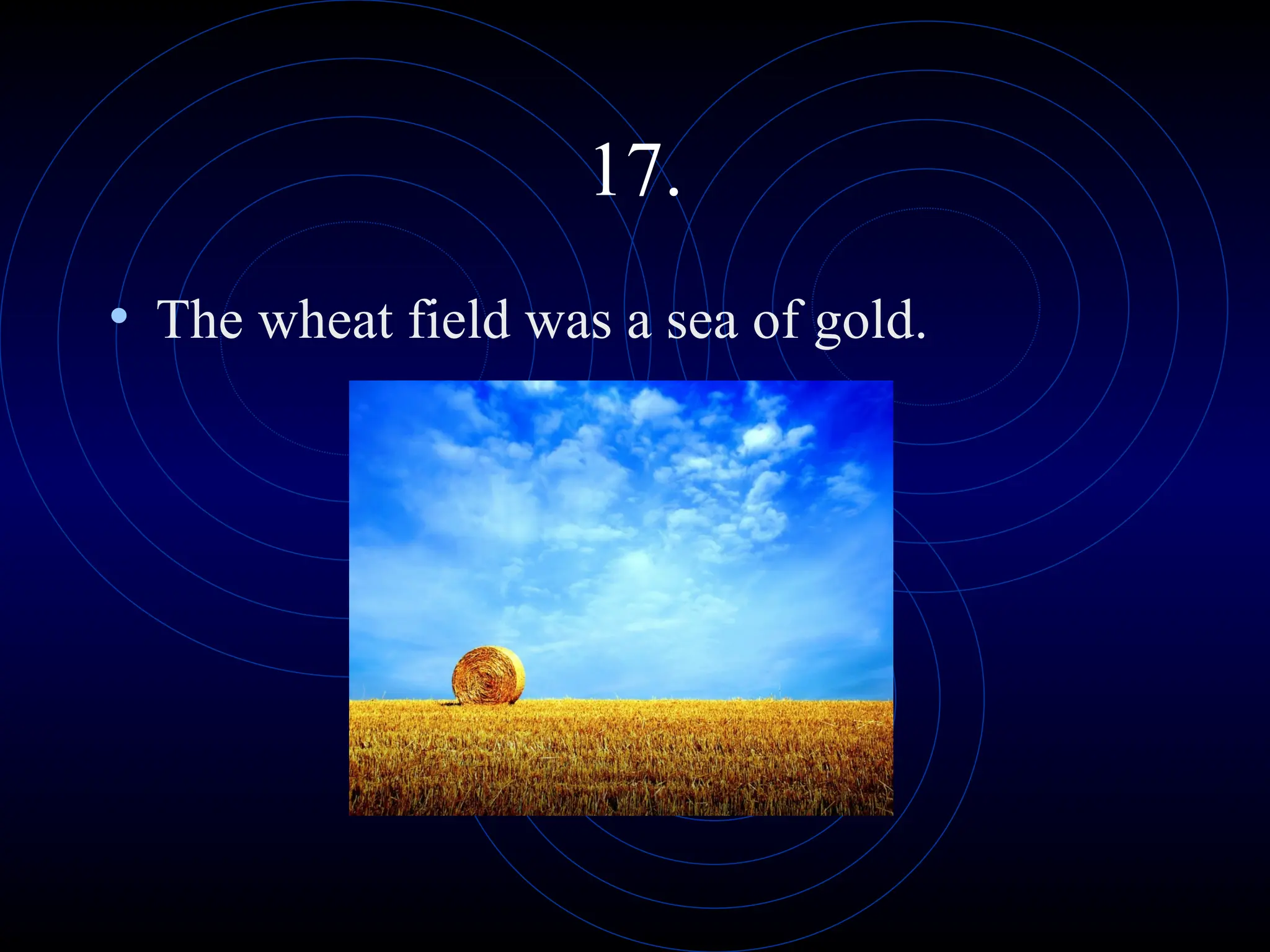 17.
• The wheat field was a sea of gold.
 