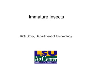 Immature Insects Rick Story, Department of Entomology 