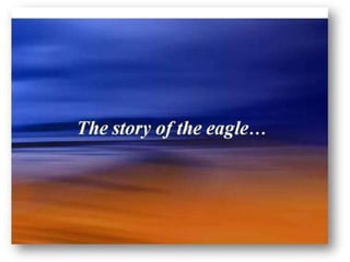 Story of Eagle