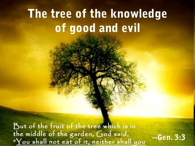 Image result for the tree of knowledge of good and evil