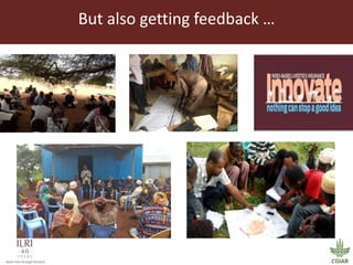 The story of Index Based Livestock Insurance (IBLI)