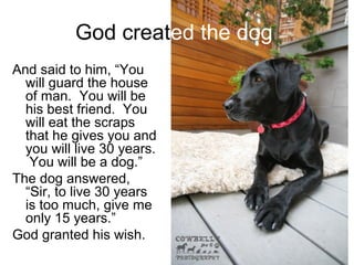 God created the dog 
And said to him, “You 
will guard the house 
of man. You will be 
his best friend. You 
will eat the ...