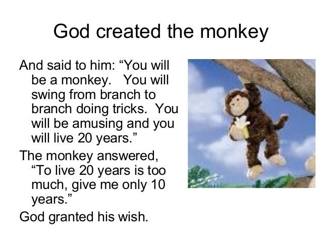 monkey and dog story