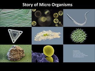 Story of Micro Organisms
 