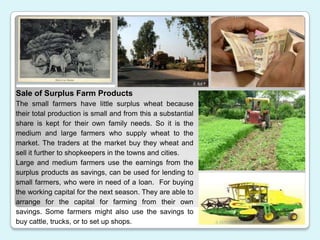 Sale of Surplus Farm Products
The small farmers have little surplus wheat because
their total production is small and from...