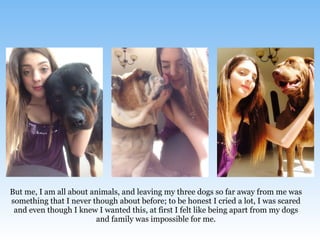 But me, I am all about animals, and leaving my three dogs so far away from me was
something that I never though about before; to be honest I cried a lot, I was scared
and even though I knew I wanted this, at first I felt like being apart from my dogs
and family was impossible for me.
 