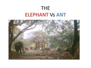THE ELEPHANT Vs ANT 
