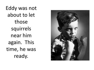 Eddy was not about to let those squirrels near him again.  This time, he was ready.