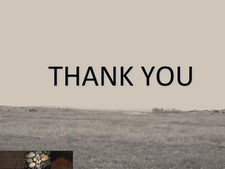 THANK YOUTHANK YOUTHANK YOUTHANK YOU
 
