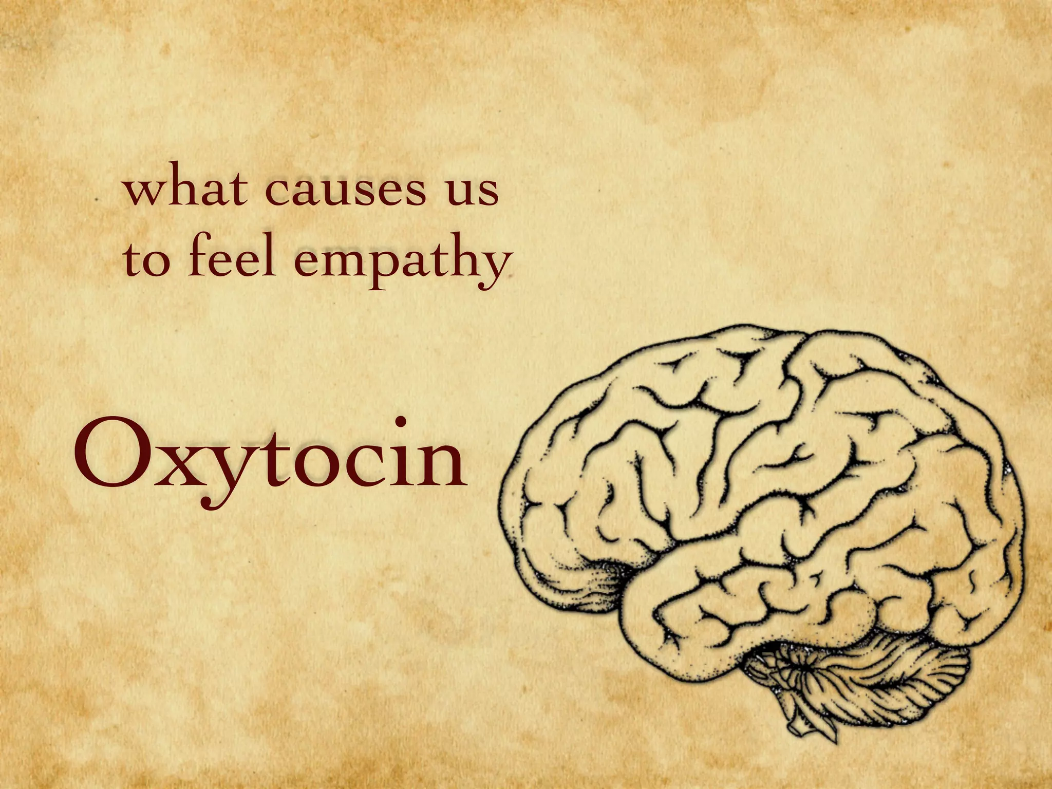 what causes us
to feel empathy
Oxytocin
 