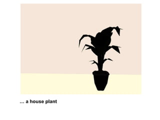 …  a house plant 