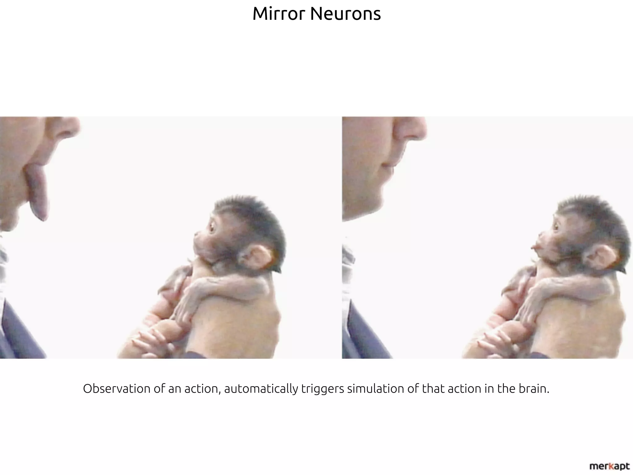Mirror Neurons
Observation of an action, automatically triggers simulation of that action in the brain.
 