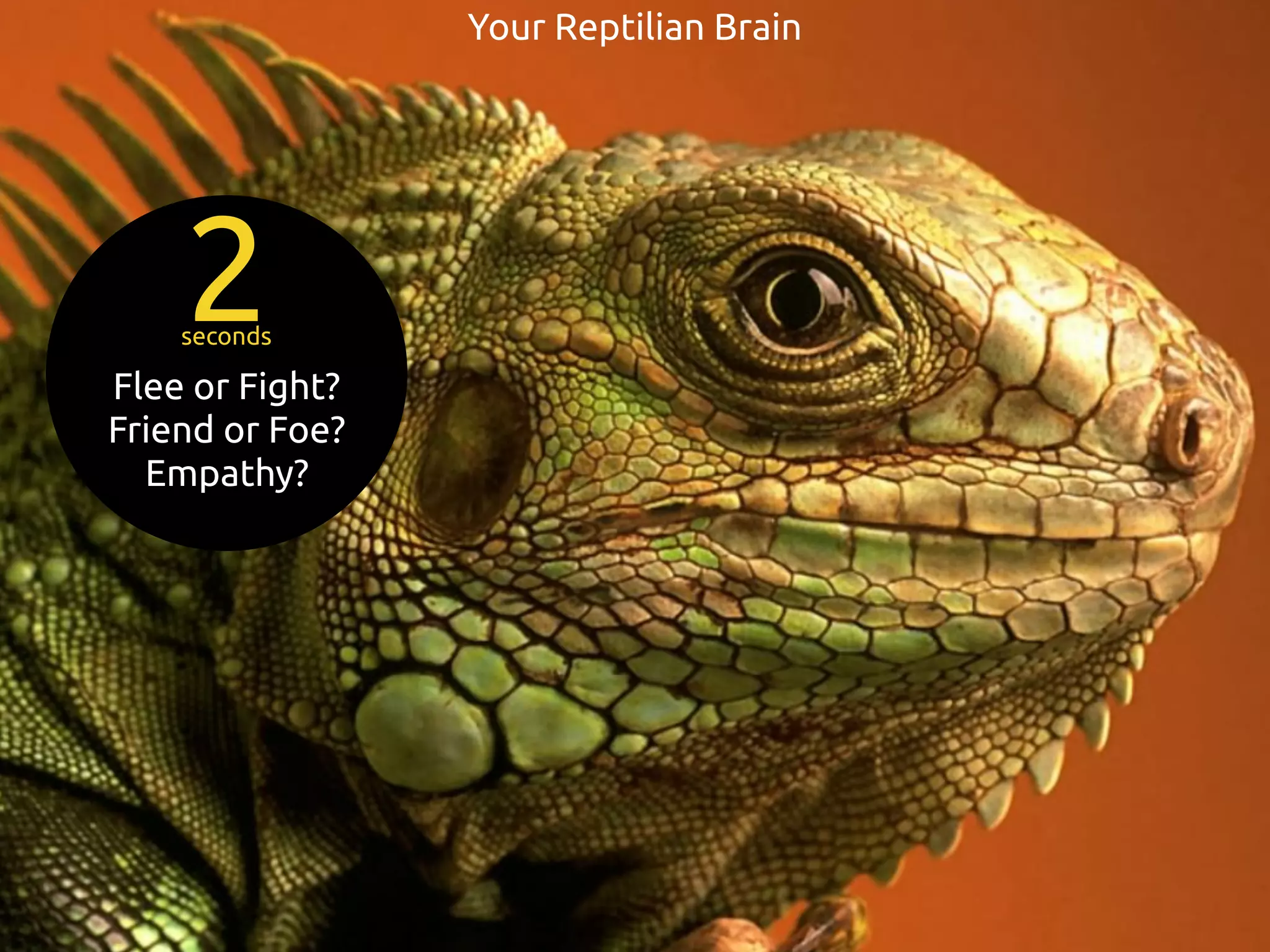Your Reptilian Brain
seconds
Flee or Fight?
Friend or Foe?
Empathy?
2
 