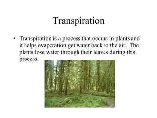 Transpiration Transpiration is a process that occurs in plants and it helps evaporation get water back to the air.  The plants lose water through their leaves during this process. 
