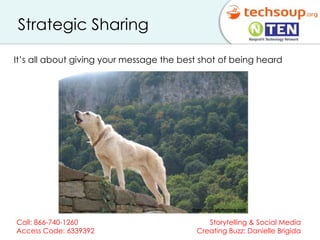 Strategic Sharing  It’s all about giving your message the best shot of being heard 
