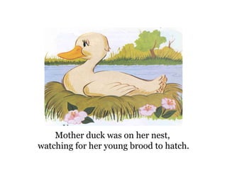 Mother duck was on her nest,  watching for her young brood to hatch. 